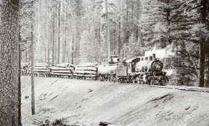 mccloud train hauling logs